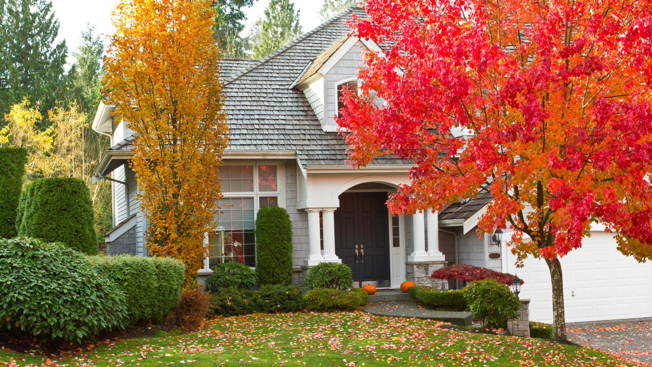 7 Things You Need to Do to Prepare Your Roof for Autumn.png