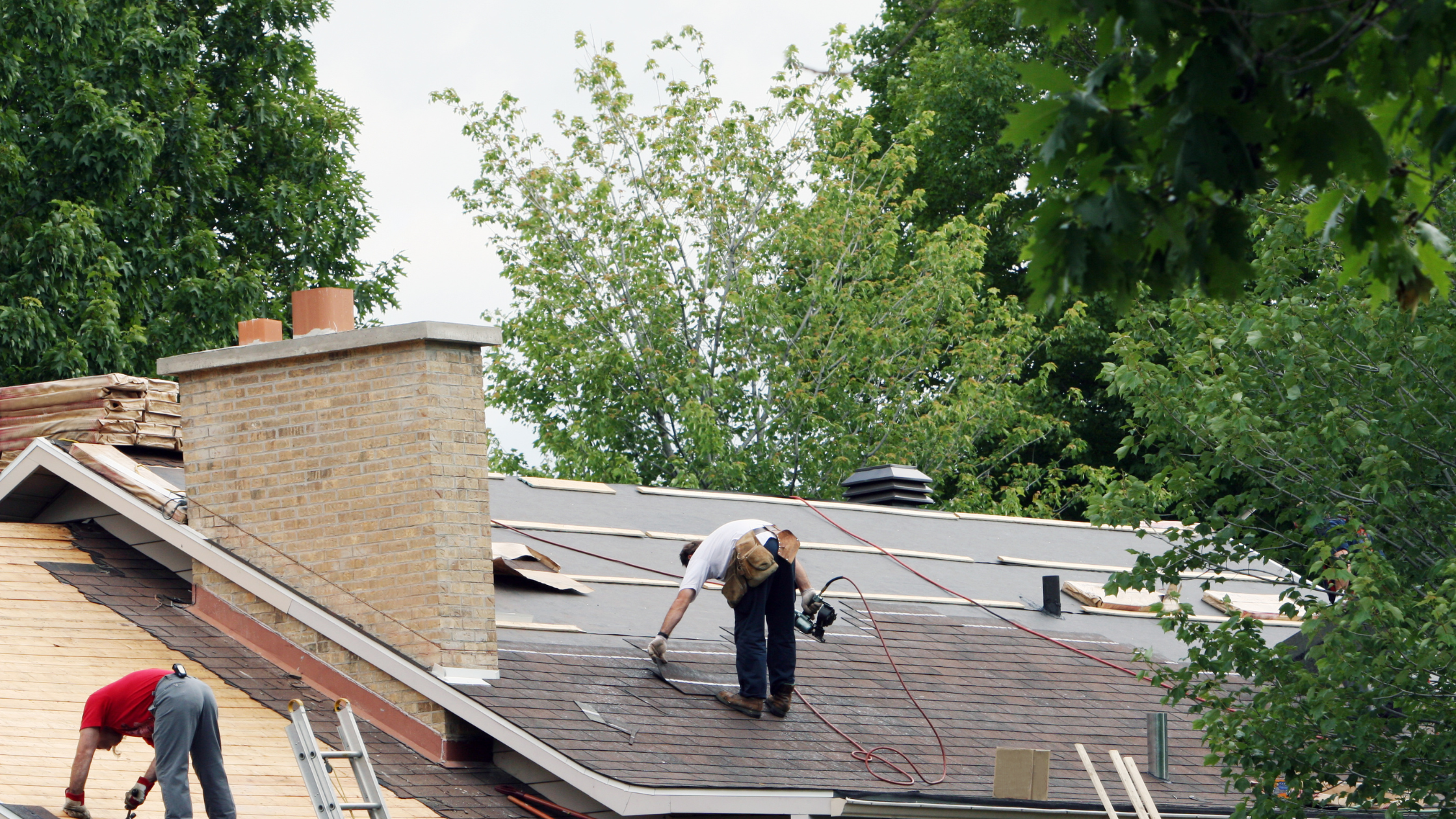 Why Trimming Branches Around Your Home Matters for Your Roof.png
